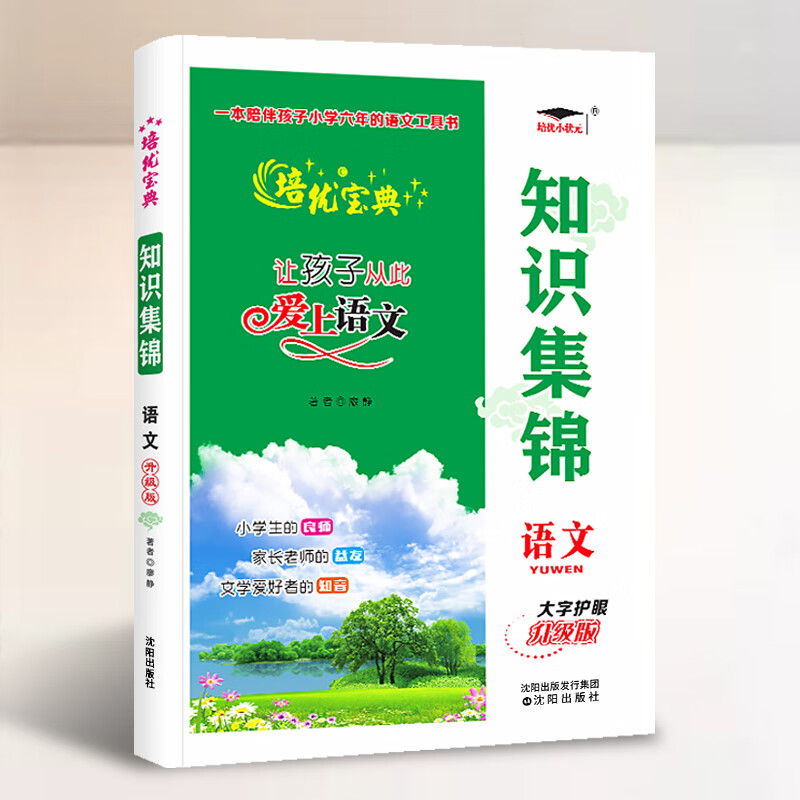 大集结小学生二年级三四五六年级知识基础大盘点总复习资料大全教辅书