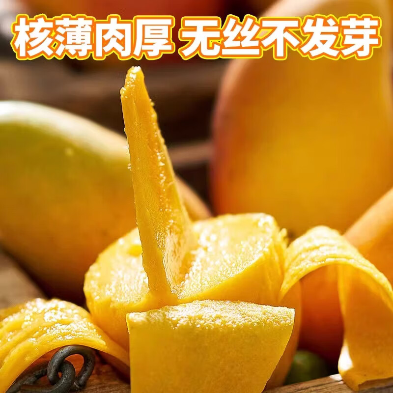 鲜宝道当季现摘广西青皮金煌芒新鲜水果青芒果 5斤金煌芒单果150-300克净重4.5斤