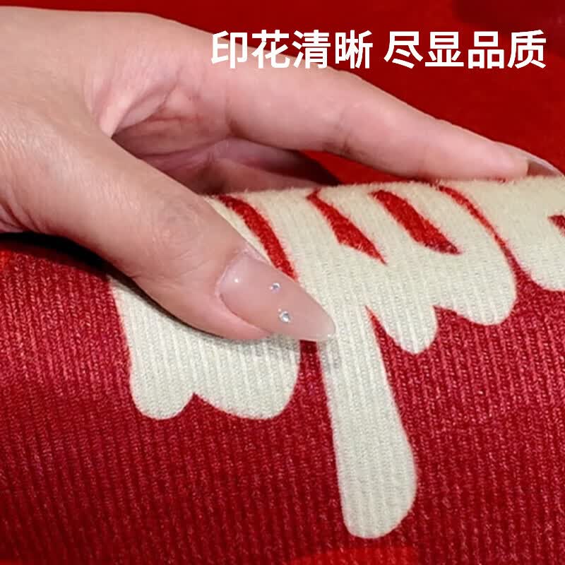 雨萱入户喜庆地垫门口脚垫家用进门垫玄关防滑门垫卧室客厅加厚地毯垫 平安喜乐【水晶绒】 80cm*120cm