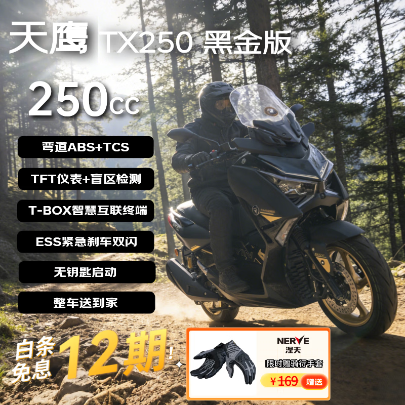天鹰TX250F赠手套 燃油踏板摩托车长途摩旅通勤代步越野 黑金版 26款