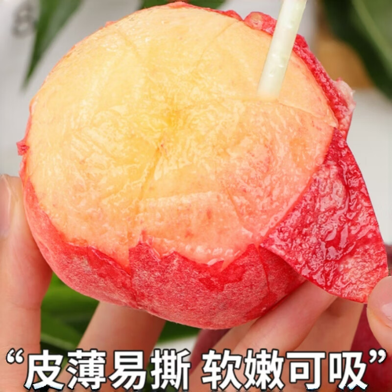 盘信人正宗四川龙泉驿水蜜桃次日达新鲜采摘应季水果桃子礼盒装送礼整箱 2000g 13-16枚大果【单果100g以上】礼盒装