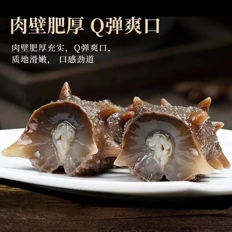 奉仙宝即食海参冷冻辽参刺参大连海参鲜活水产真空独立滋补非淡干海参 一盒装500克装（两袋鲍汁） 【11-15只/斤】单长8-10厘米
