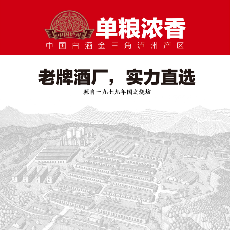 国之(GUOZHI)英雄会 浓香型白酒 泸州产区 纯粮酒 传统文化 国标优级 自饮送礼 52%vol 500mL 6瓶