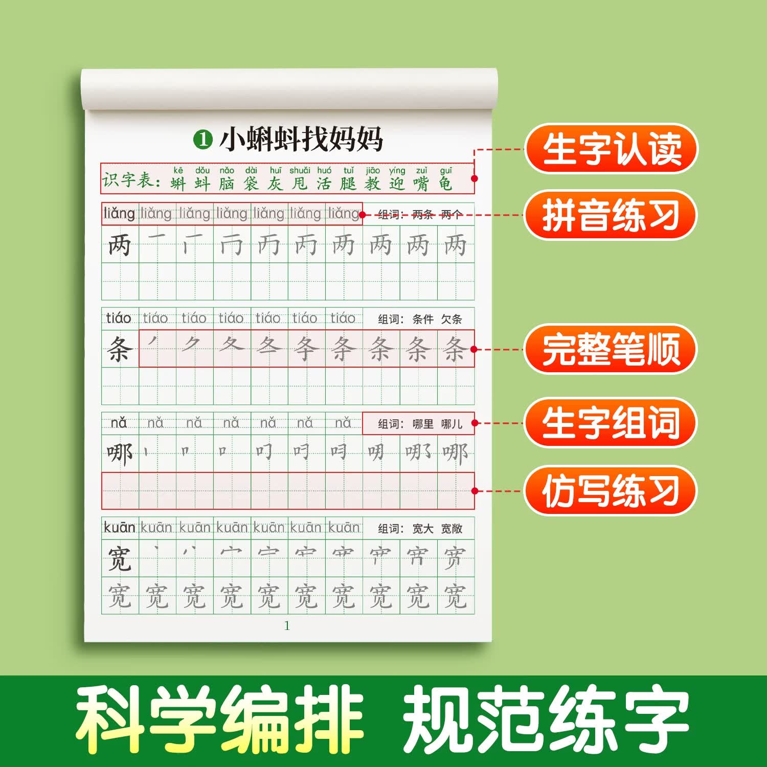 汉状元书院二年级上册下册练字帖人教版语文同步字帖每日一练小学生专用笔画笔顺练字本生字拼音楷书描红本 【二年级下册】同步字帖+看拼音写词语
