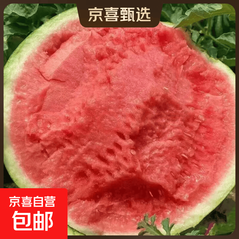 精品麒麟有籽西瓜 脆甜多汁 产地现摘 新鲜直发 坏果包赔 5-10斤（越大越甜） 5-6斤