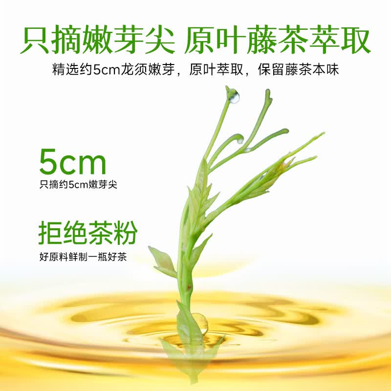 小稀藤即饮藤茶植物饮料解渴0咖啡因0蔗糖0脂肪500ml 原味藤茶 500mL*15瓶