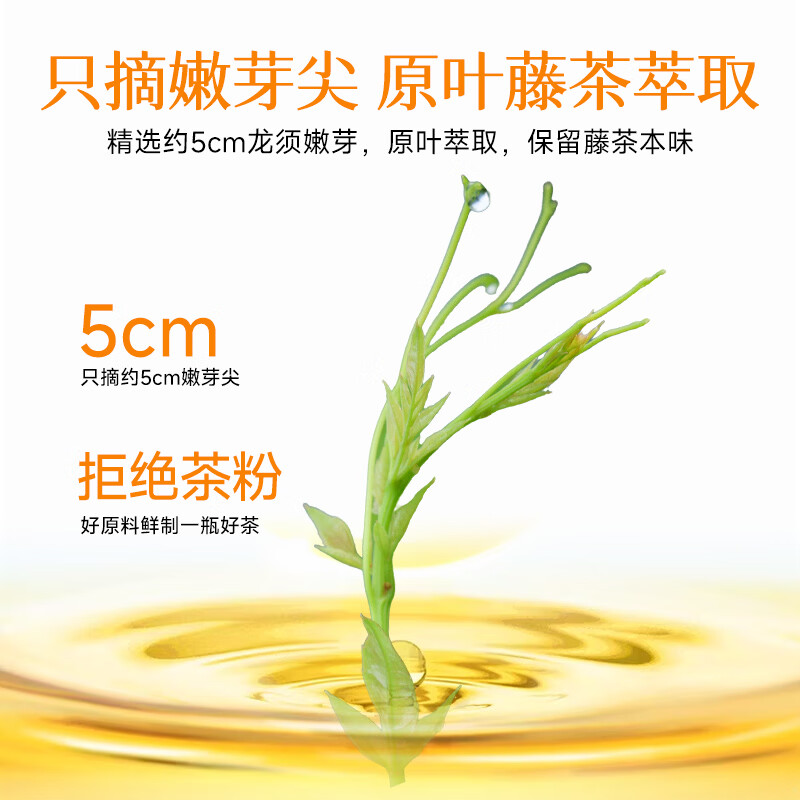 小稀藤即饮藤茶植物饮料解渴0咖啡因0蔗糖0脂肪500ml 金桂藤茶 500mL*15瓶