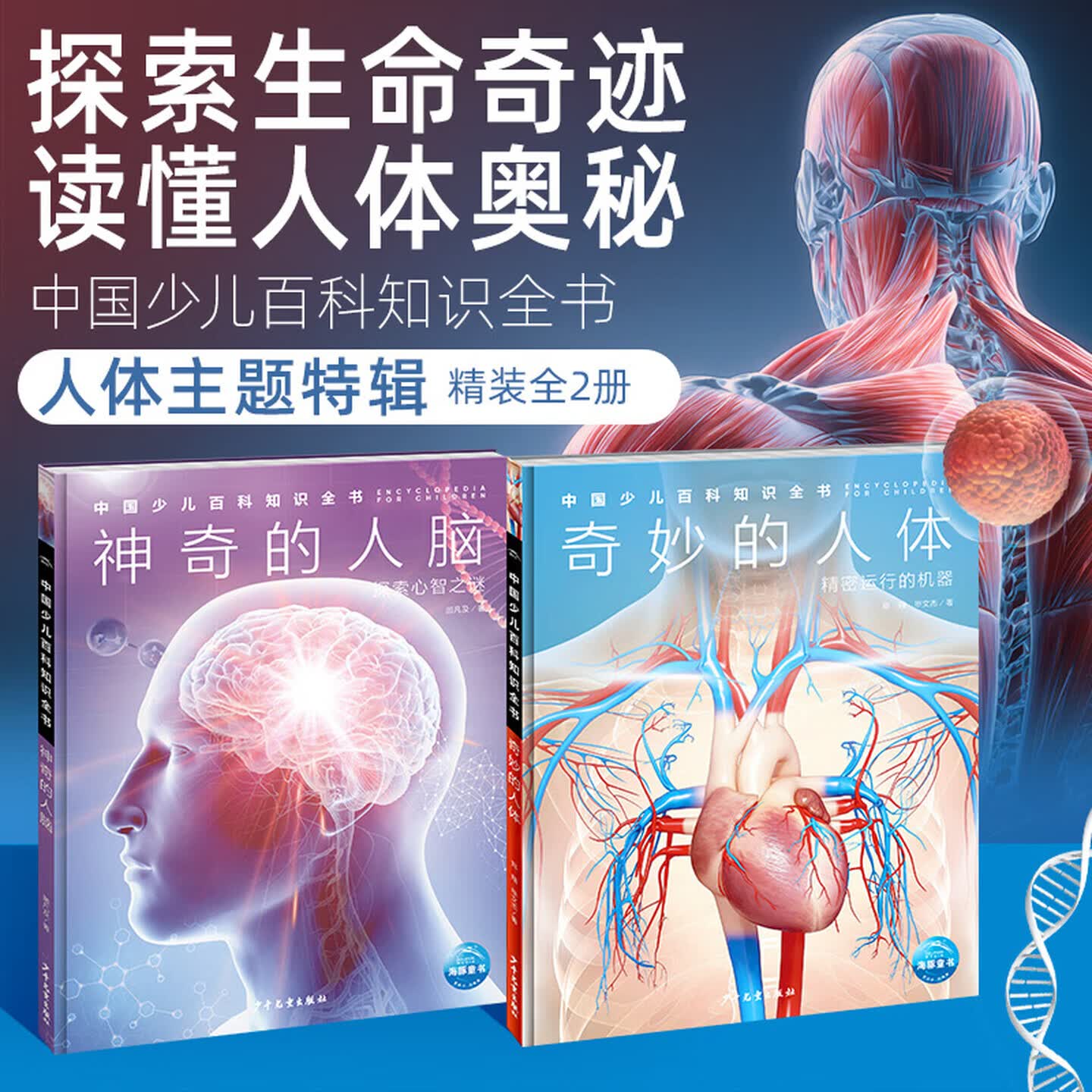 豚小蒙【海豚童书】人体与大脑·中国少儿百科全书·中百趣味科普医学解剖学人体探秘小学生初中生课外书籍科学启蒙认知大百科早教书 两册：奇妙的人体+神奇的人脑