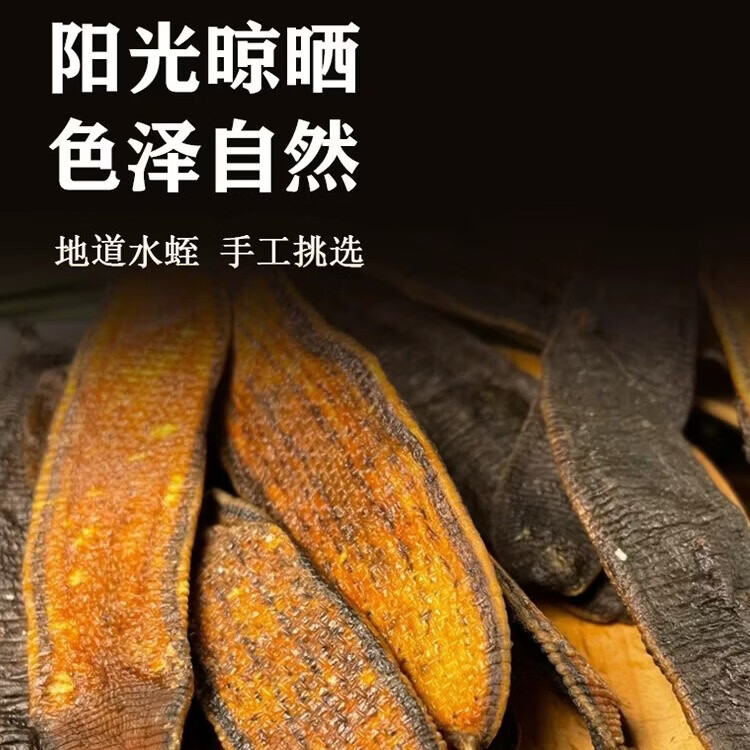 华佰医广西水蛭干清水蚂蟥干吸血亮片宽体金线蚂蟥 500g*1袋 水蛭(宽体)