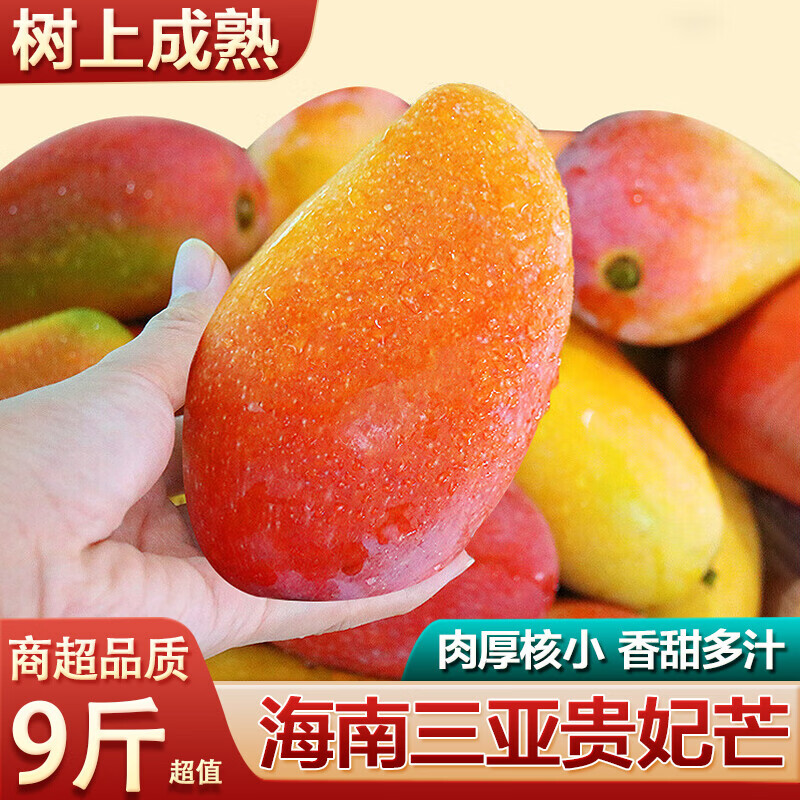 译优农正宗海南三亚贵妃芒果当季现摘新鲜热带水果红金龙芒果 净重9斤大果【单果150-250g】精选