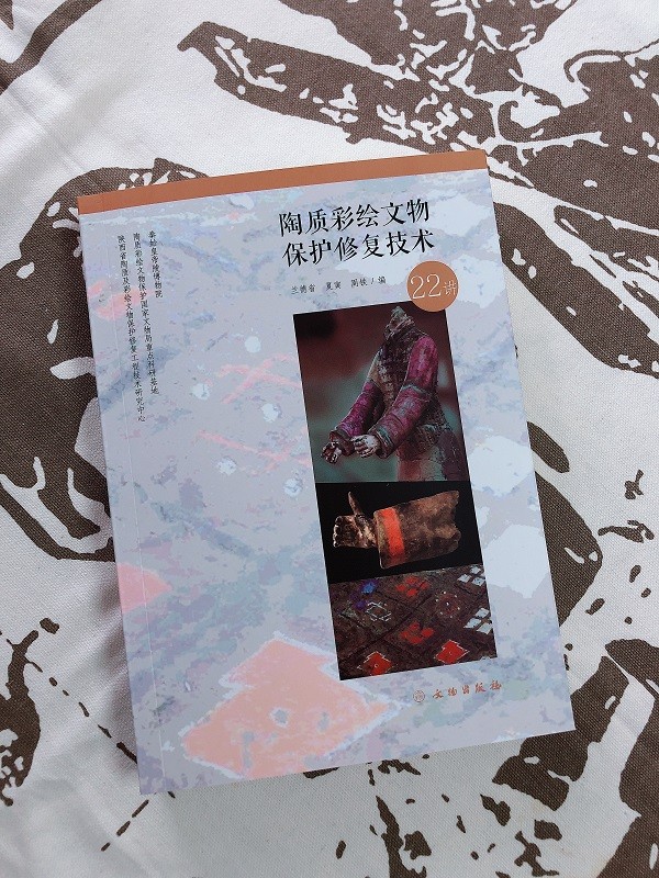 陶质彩绘文物保护修复技术22讲 9787