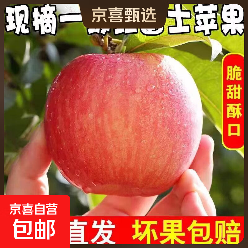 京喜加山西运城红富士苹果10斤正宗当季现摘新鲜水果丑甜冰糖心整箱 1斤净重0.6斤中果65-75mm