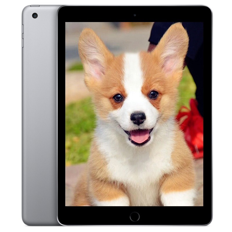apple/苹果ipad2018 ipad6代二手平板电脑 吃鸡办公推荐 支持apple笔