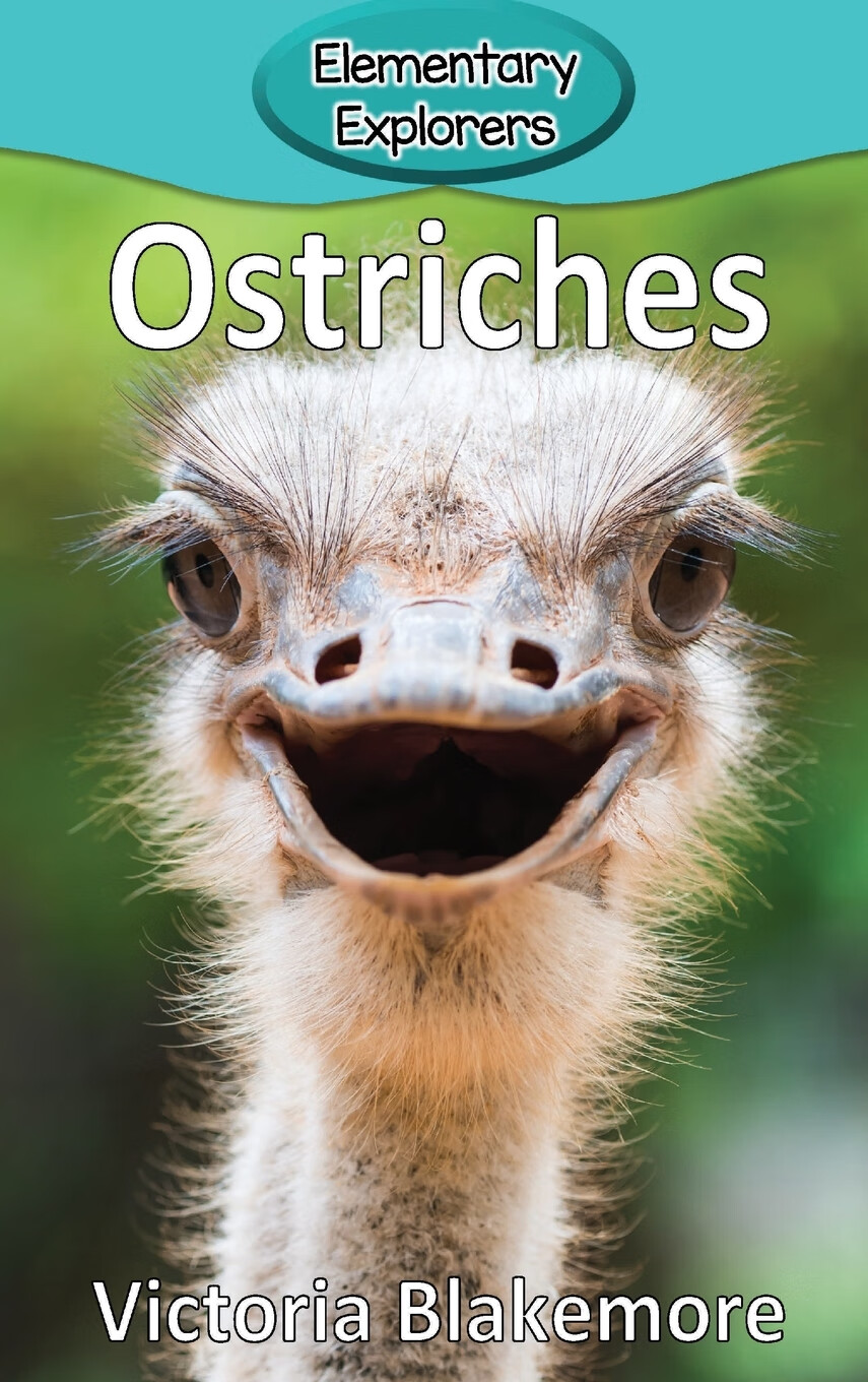 【预售 按需印刷】ostriches
