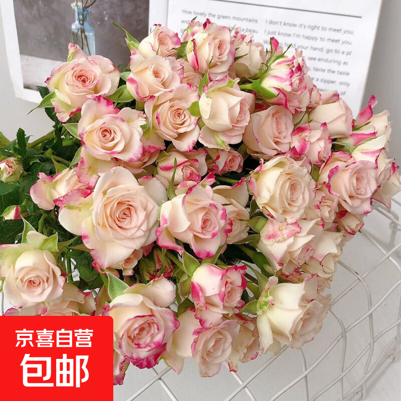 折射多头玫瑰泡泡鲜花云南基地直发鲜切花材家用真花礼物京东快递 折射多泡泡5枝+保鲜剂