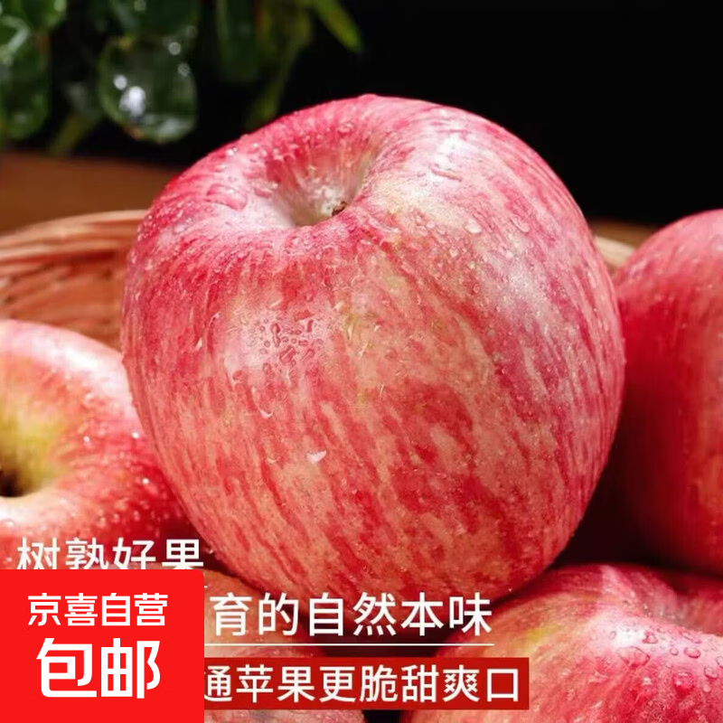 正宗山东红富士苹果脆甜可口好吃不贵整箱发货生鲜水果丑苹果超市 中果70-75mm 1斤【含箱】净重0.6斤 京东快递-更快更好
