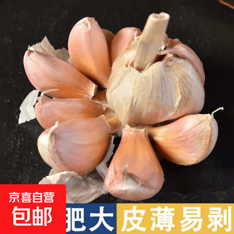 农家新干蒜金乡紫皮蒜精品大蒜单果3.5-4.5厘米 2斤带箱产地直发