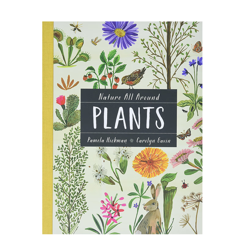 all around】大自然就在身边:植物plants 英文儿童绘本