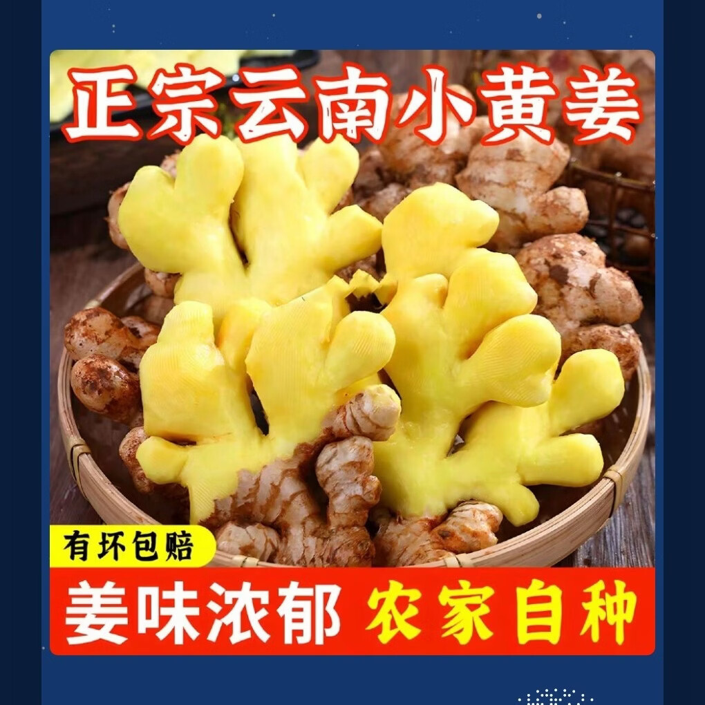 云南正宗小黄姜农家自种两年半老姜月子姜 9斤
