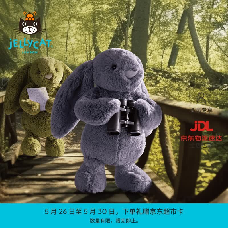 Jellycat早春新品害羞紫罗兰邦尼兔毛绒玩偶安抚娃娃送礼儿童节生日礼物 害羞紫罗兰邦尼兔 Medium