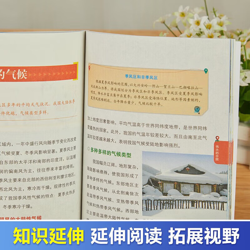 全套8册 少年看中国中国地理百科全书写给儿童的国家地理科普类读物大百科8-9-10-12岁少儿小学生课外阅读书籍青少年科学漫画绘本
