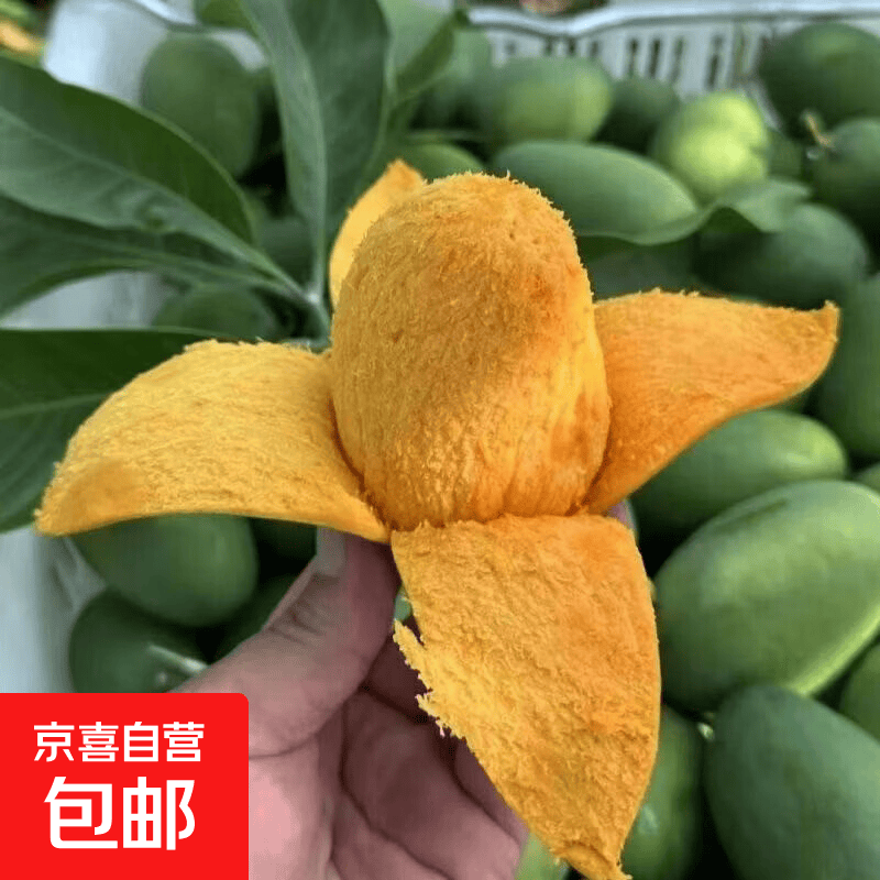 青皮贵妃芒带箱5斤 10.9元 - 线报酷