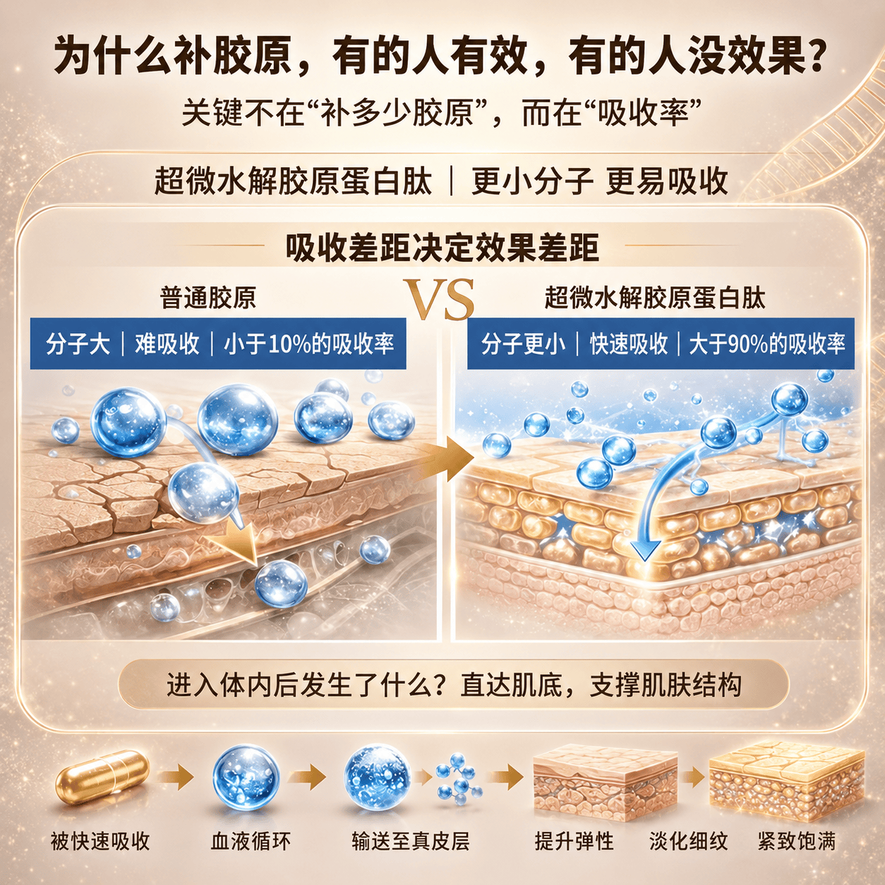 AEGABE美国进口植物神经酰胺超微胶原蛋白肽锁水保湿紧致弹润淡化细纹 60天用量 60粒*1瓶