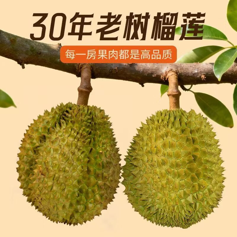璐亦泰国进口金枕榴莲肉树熟冷冻液氮锁鲜新鲜水果批发零售280g/盒 A级金枕榴莲肉【净重500g*3盒】泰国直采