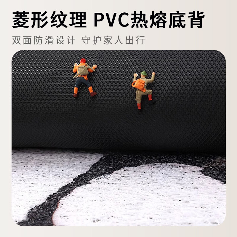 雨萱入户地垫门口脚垫家用进门垫玄关防滑防水门垫卧室客厅加厚地毯垫 好柿发生【丝圈】 80cm*120cm