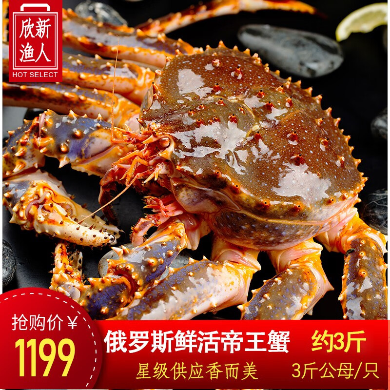 鲜活海鲜活大龙虾新鲜珍宝皇帝蟹水产 3斤俄罗斯帝王蟹【约3斤公母/只