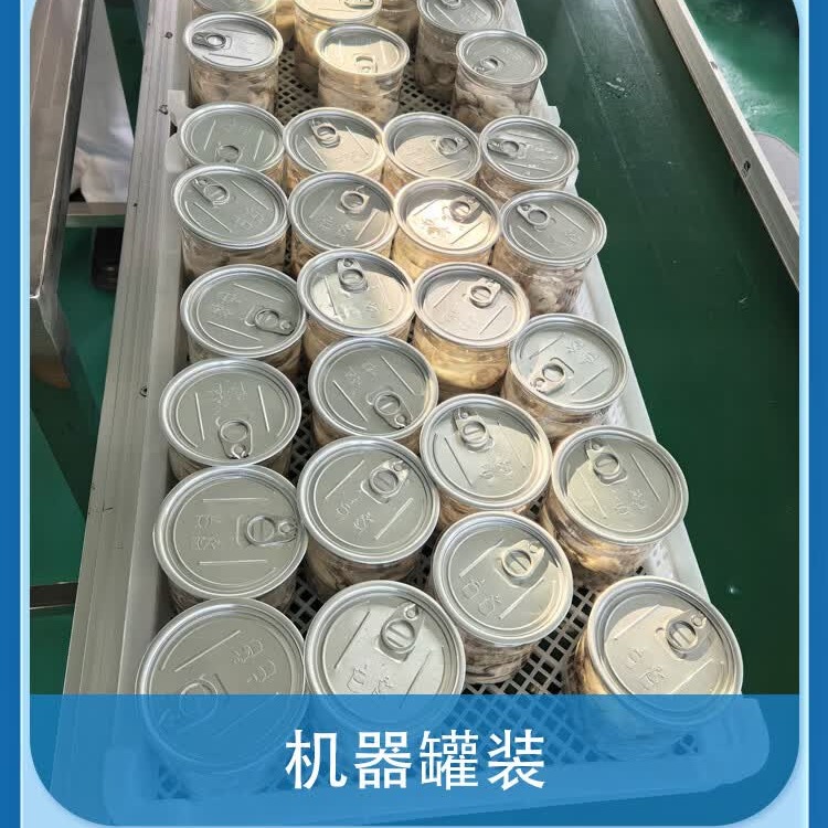 俏虾客有机生蚝肉500g罐装 12-17只 大蚝肉