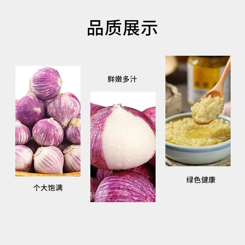 26年新鲜现挖紫皮独头蒜调料调味辛辣可口大蒜头源头直发带土发货 4.5斤【超值囤货】 大果3.0cm+[品质升级]