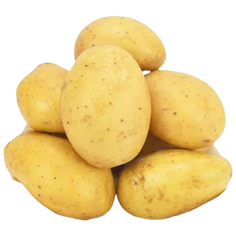 【东东买菜】山东黄皮土豆粉糯新鲜现挖马铃薯洋芋芋头当季蔬菜好 【东东买菜】小土豆2斤净重