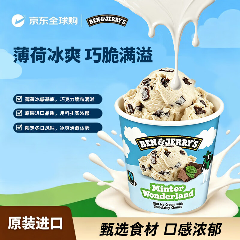 BEN & JERRY'S本杰瑞薄荷巧克力冰淇淋465ml/桶 进口 薄巧冰激淋