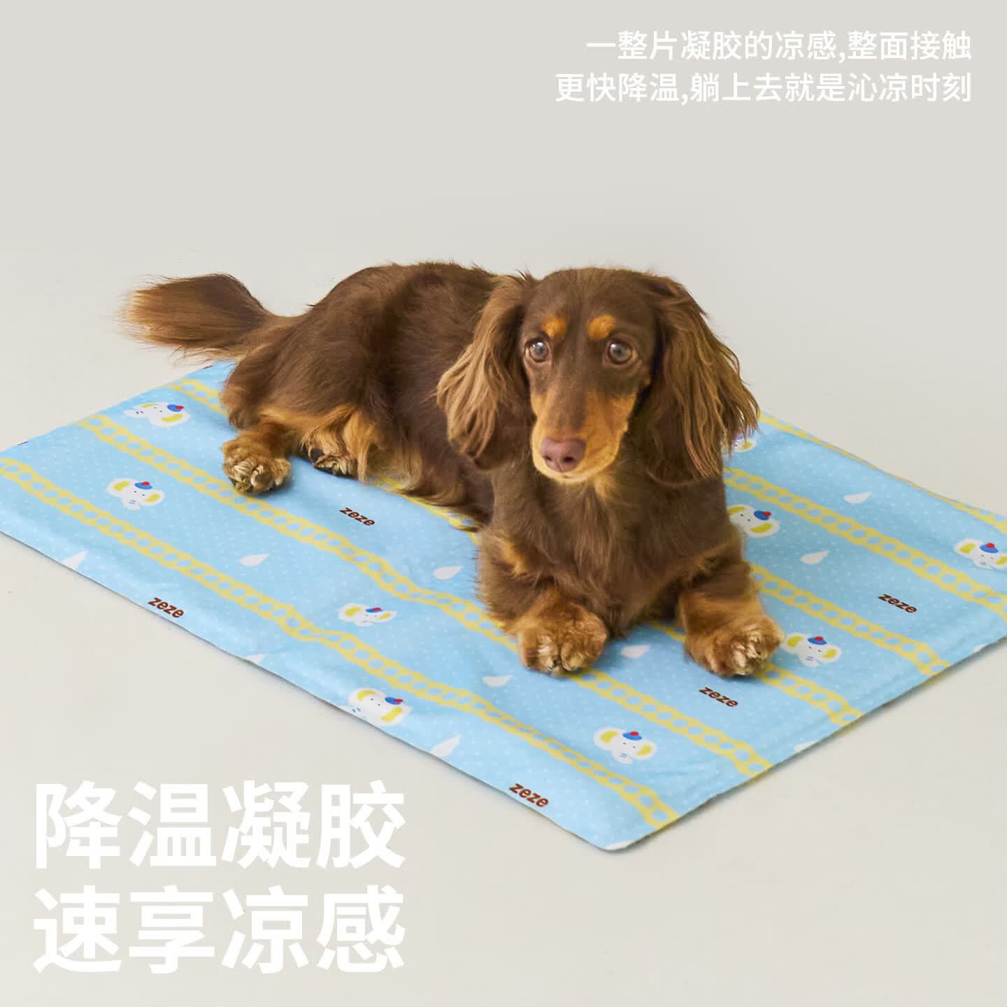 ZEZE小象宠物清凉冰垫M 31.9元，ZEZE小象宠物清凉冰垫L 47.9元 - 86线报