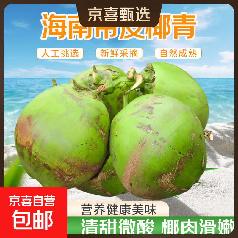 海南文昌带皮椰青生鲜椰汁应季孕妇水果椰子水椰肉单果净重3斤起 【6个装】海南带皮椰青（聚会装）