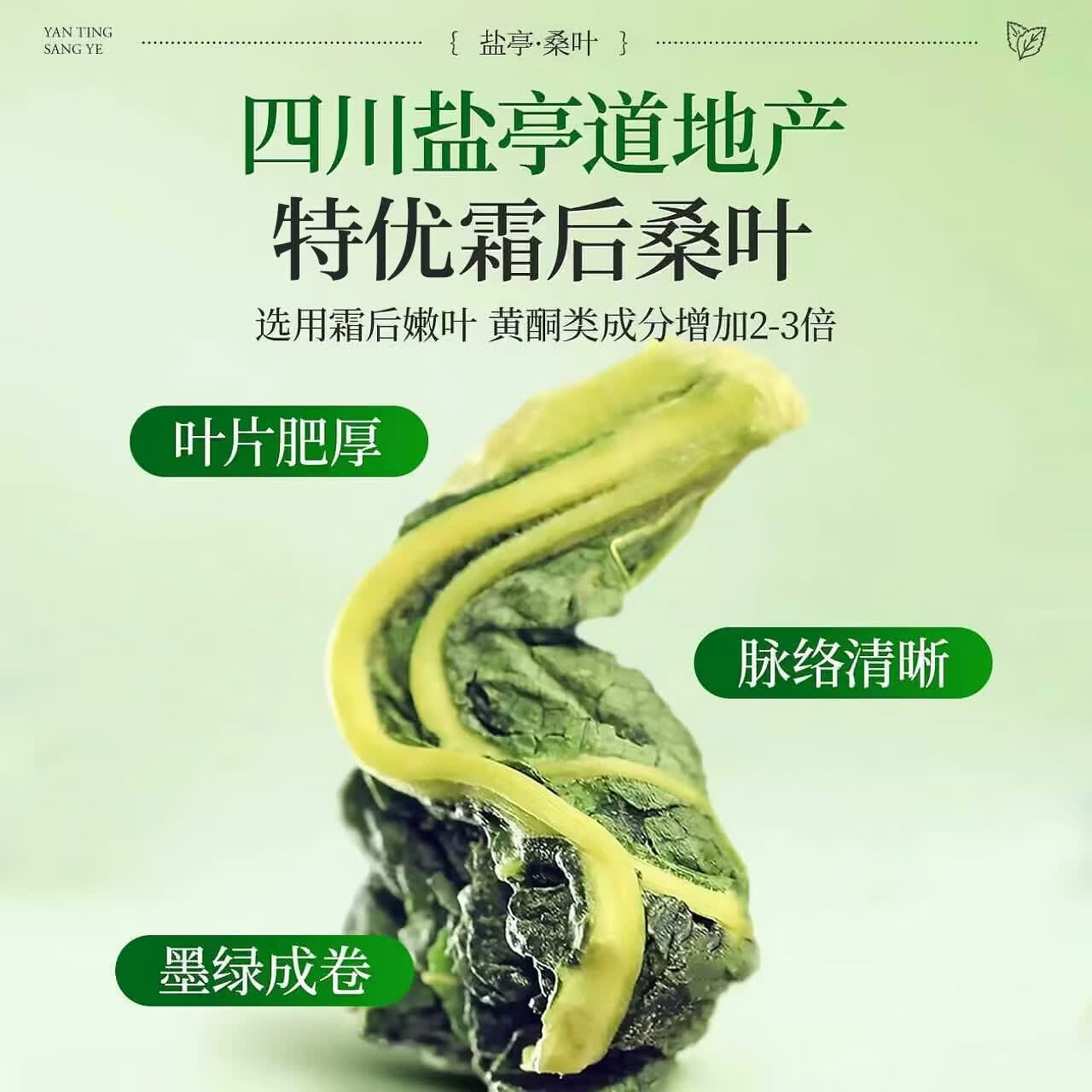同仁堂(TRT)【特优级】精选桐乡桑叶茶无硫足干润燥降火生津利咽四季养生茶 【疏风清热养生】共720g 180g*4罐 精选盐亭优质桑叶茶