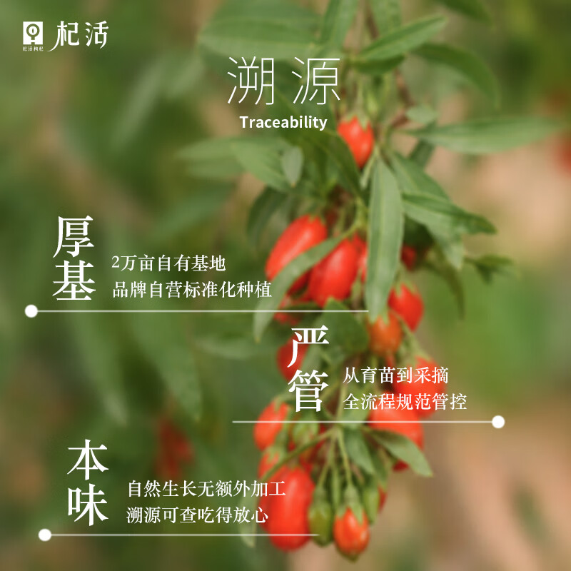 杞活出品 鹏胜红【宁夏正宗】 枸杞 干果  【宁夏正宗】特优级 日常款 250g*1罐