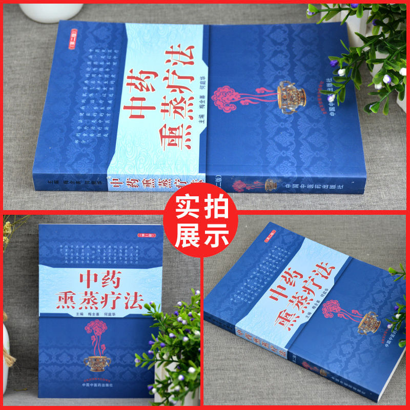 正版 中药熏蒸疗法 第二2版 梅全喜 何庭华 中国中医药出版社 中药