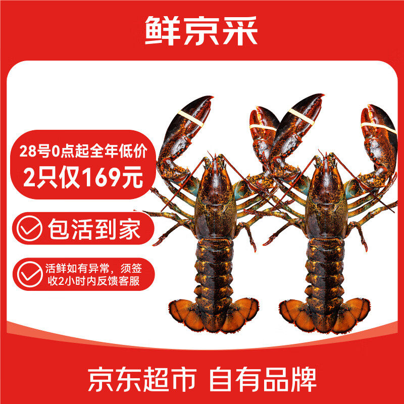 鲜京采 鲜活波士顿龙虾 净重400-500g/只*2只装 保活到家 源头直发