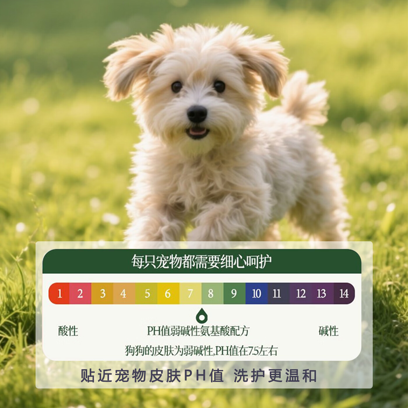 迪兰熊狗狗沐浴露宠物专用洗护套装抑菌除螨温和清洁低敏洗澡香波沐浴液 边牧/阿拉斯加专用洗护套装