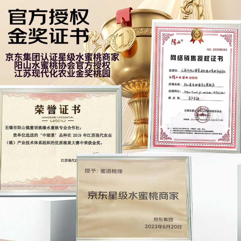阳山水蜜桃无锡阳山 白凤湖景桃 新鲜水果时令桃子礼盒 源头直发包邮 单果5-6两12个礼盒装净重6-7斤 甄选一级果-绿色食品