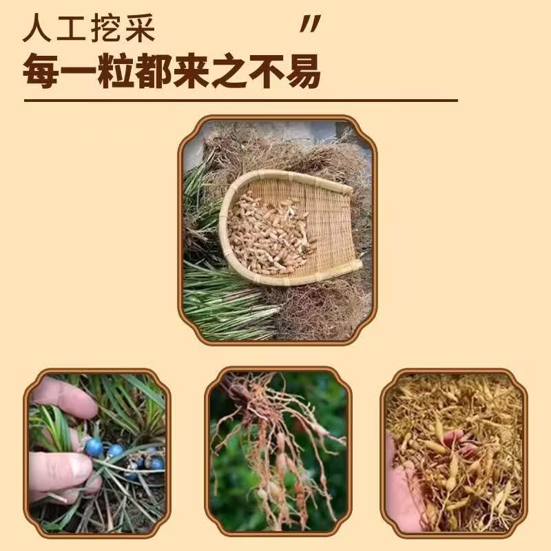 协穆正宗野生麦冬特级中药材官方正品川麦冬黄芪五味子泡水茶喝 【高海拔地区】麦冬 200g*4罐
