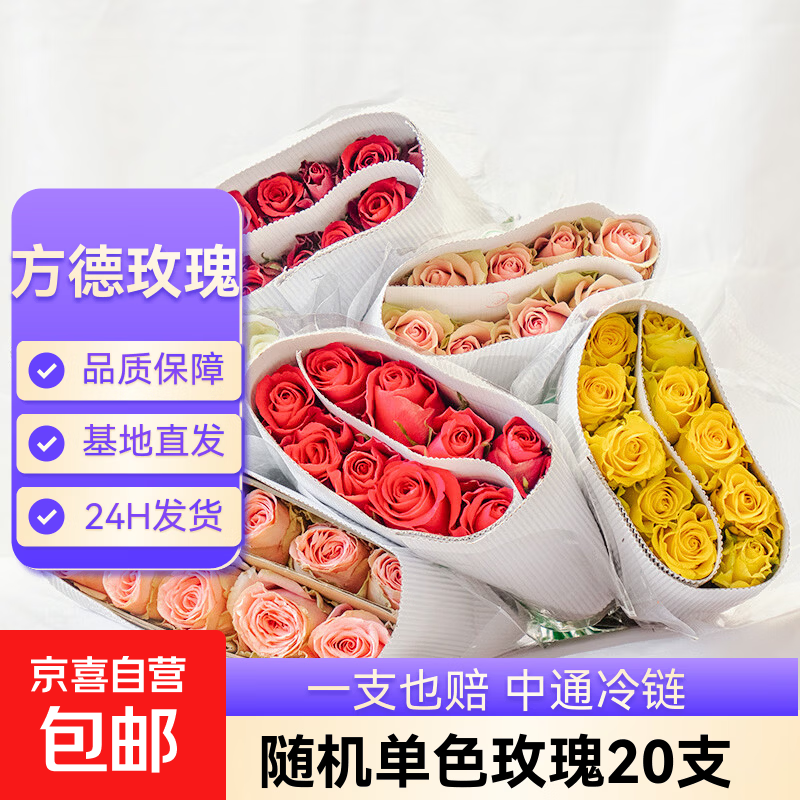 【方德玫瑰】云南鲜花基地直发玫瑰花鲜切38妇女节女神节生日礼物 方德随机玫瑰20支40CM左右
