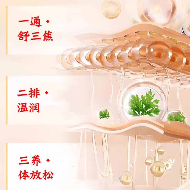 同仁堂(TRT)三伏贴吴茱萸肉桂足贴 32贴*3盒