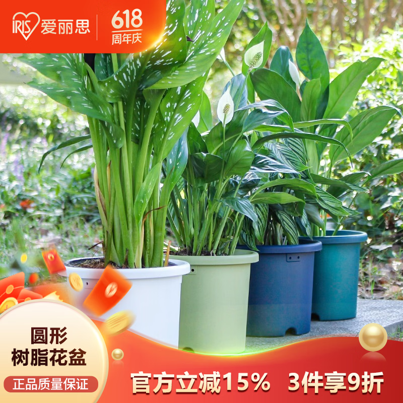 爱丽思花盆塑料圆形树脂多肉花盆种花种菜盆绿萝爱丽丝 浅绿口径20.3cm