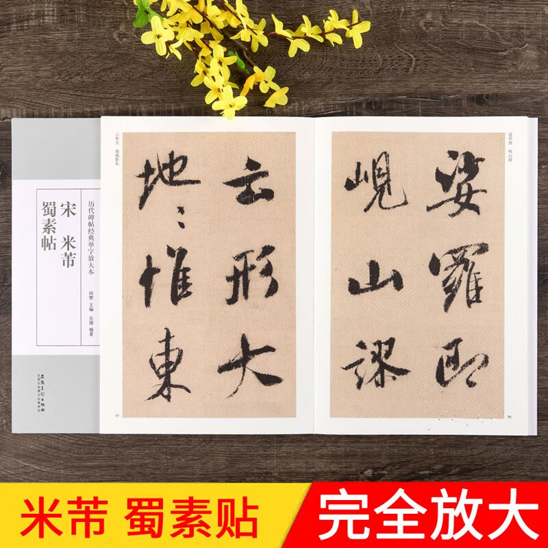 米芾蜀素帖 全文放大版 宋 历代碑帖经典单字放大本 简体旁注 蜀素帖行书书法毛笔字帖 安徽美术出版社