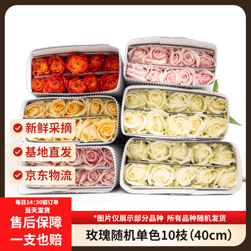 京东鲜花随机玫瑰10枝鲜切花基地直发礼品节日年宵节情人礼物花束源头直发