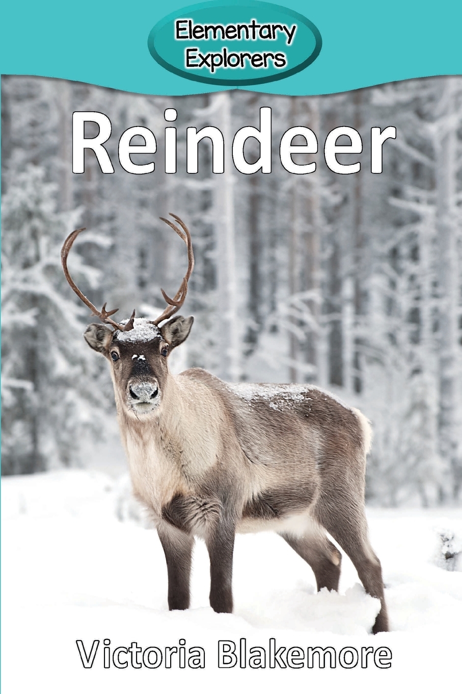 预售 按需印刷reindeer