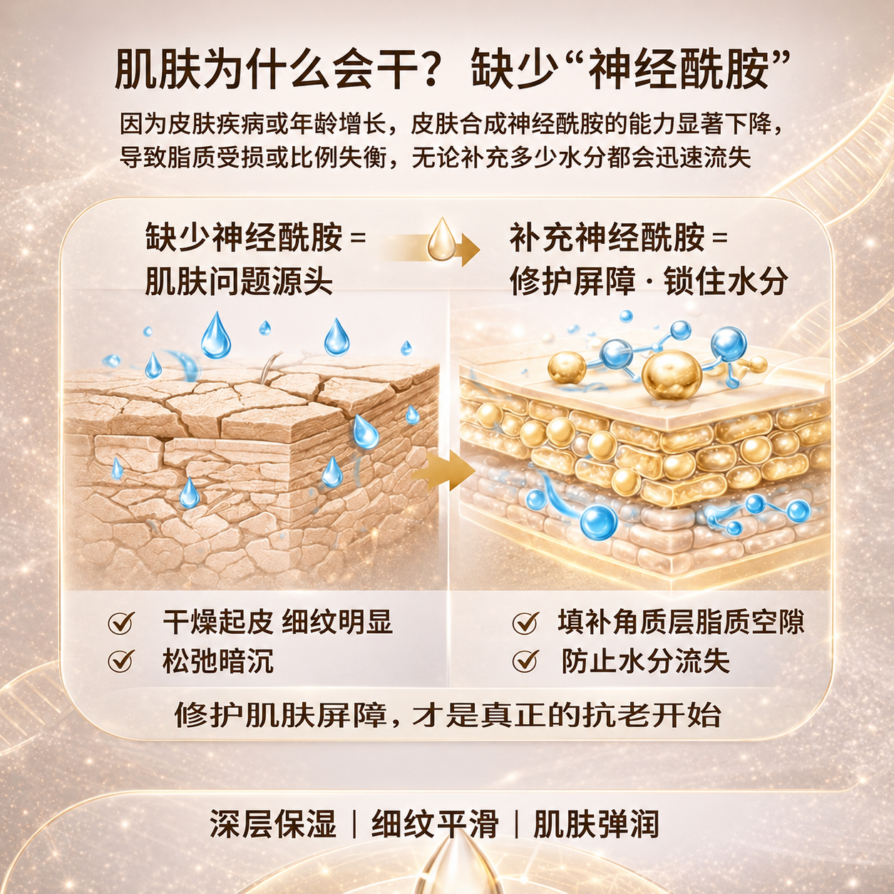 AEGABE美国进口植物神经酰胺超微胶原蛋白肽锁水保湿紧致弹润淡化细纹 60天用量 60粒*1瓶